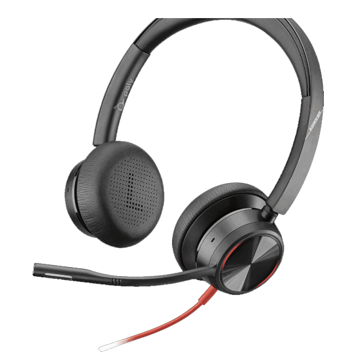 Poly BW8225 USB Headset