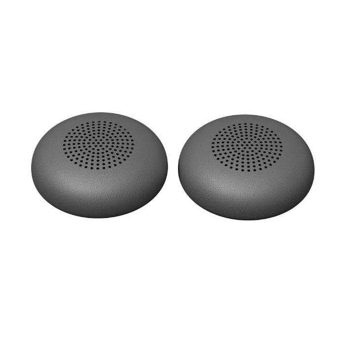 ZW2 - Replacement Ear Cushions